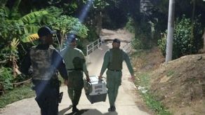 Rescatan a perro herido por proyectil en Loma Bonita, Valle de Urracá Rescatan a perro herido por proyectil en Loma Bonita, Valle de Urracá