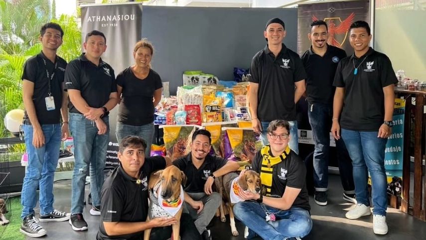 Gran recolecta de alimentos