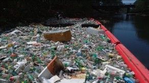 Marea Verde busca implementar proyecto para la limpieza de los ríos en Panamá