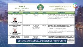 Panamá Check: Convocatorias de la Comisión de Presupuesto