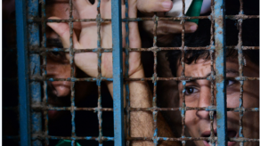 Bolivia pone en duda versión argentina sobre mujer que habría sido víctima de trata Bolivia pone en duda versión argentina sobre mujer que habría sido víctima de trata