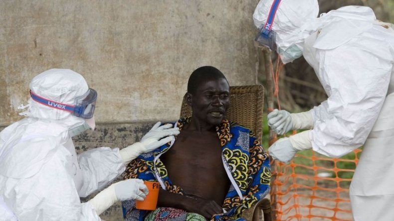 OMS pide a expertos que desarrollen 8 tratamientos y 2 vacunas contra ébola