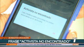 Precandidatos por la libre postulación piden al TE transparencia tras reanudación de APP