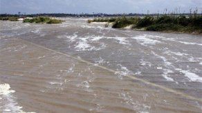 EEUU: Isaac deja miles de nutrias muertas