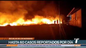 Disminuyen incendios forestales en los últimos días