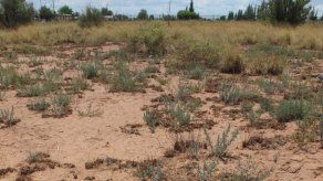 Historiadora descubre pasado de cementerio indio