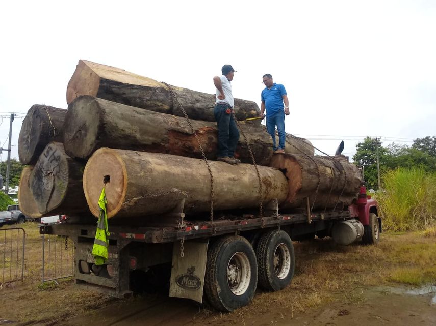Retienen camión que transportaba madera de almendro en Chepo.