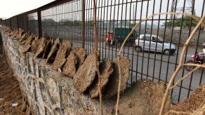 India: Estiércol de vaca se vende como rosquillas en internet