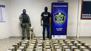 Decomisan 994 paquetes de presunta droga en Operación Beta Decomisan 994 paquetes de presunta droga en Operación Beta