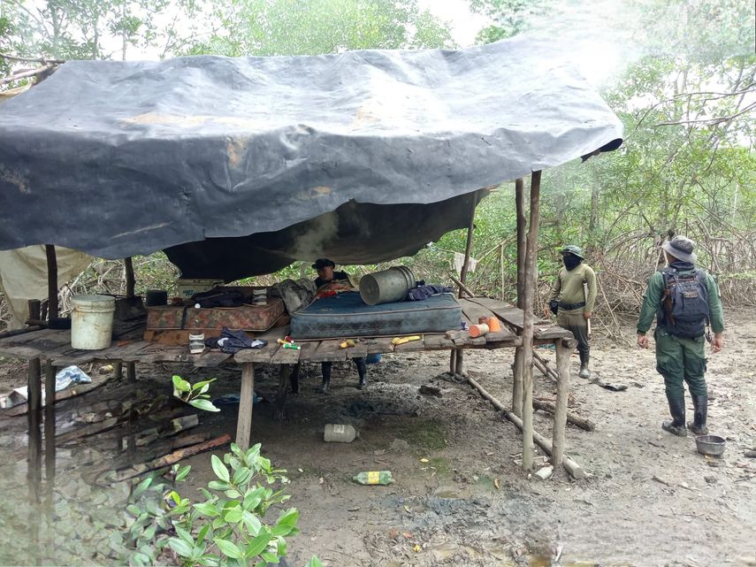 MiAmbiente desmantela campamento ilegal de tala