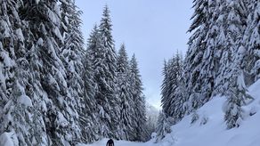 En los centros de esquí nórdico, las temperaturas más cálidas implican más precipitación en forma de lluvia, no de nieve.