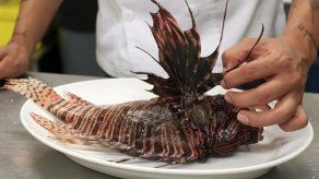 Colombia convierte lucha contra el pez león en un manjar exquisito