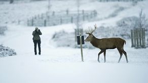 El país registró su noche más fría del año por ahora en el norte de Escocia, -15,7 grados Celsius (3,7 grados Fahrenheit).