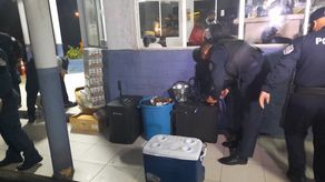 A través de la operación Génesis aprehendieron a 264 personas en las últimas horas. A través de la operación Génesis aprehendieron a 264 personas en las últimas horas.