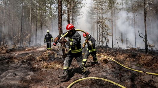 Los bomberos franceses rocían agua para apagar los puntos calientes persistentes dejados por un incendio forestal cerca de Belin-Beliet, en el suroeste de Francia.
