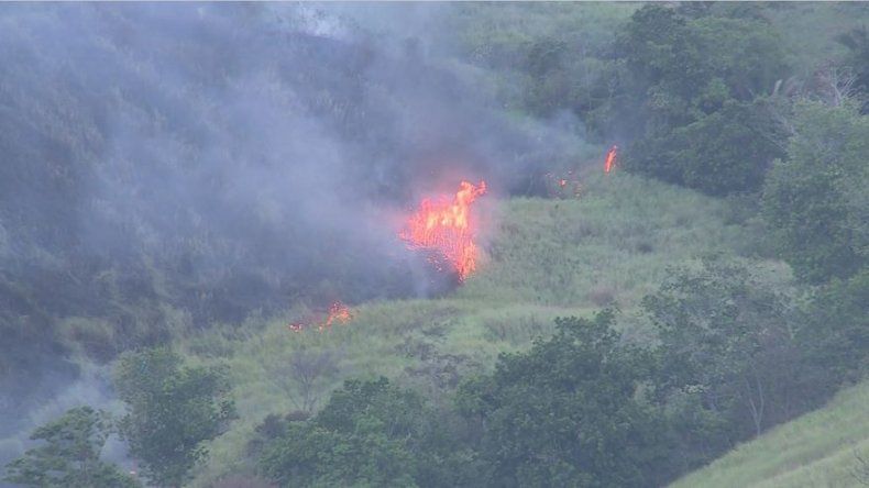 IMHPA propagación de incendio
