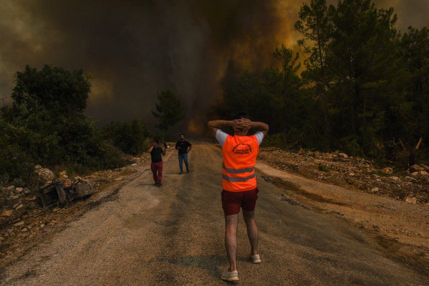 Incendio forestal.