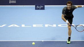 Ferrer y Murray se citan en las semifinales de Valencia