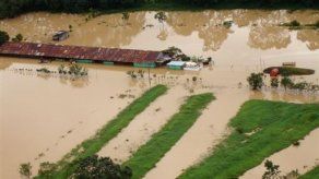 Analizan en Panamá planes de recuperación de desastres