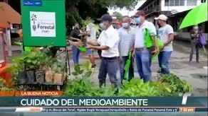 Distribuyen 512 árboles en Chiriquí como parte de un plan de cuidado del medioambiente