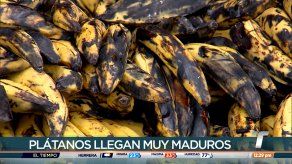 Camioneros llegan a Merca Panamá pero reportan miles de dólares en pérdidas