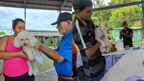 Vacunación gratuita para mascotas.