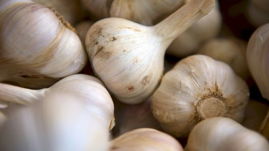 Benefeicios de comer ajo