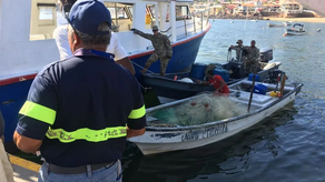 Pesca de arrastre en Panamá