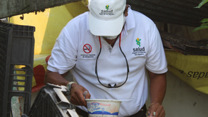 MINSA reporta más de 11 mil casos de dengue