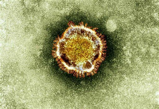 Detectan el primer caso importado en España del nuevo coronavirus