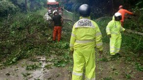 Tomada de @Sinaproc_Panama