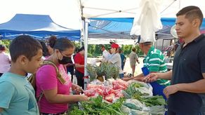 Las agroferias ofrecen productos como frutas, granos y legumbres a bajos precios.