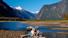 Bachelet crea un parque marino en Juan Fernandez del tamaño de Ecuador