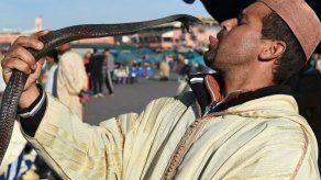 Un encantador de serpientes mordido en plaza de Marrakech delante de turistas