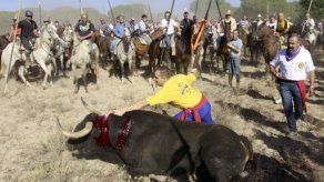 Miles de personas marchan en Madrid contra festejo del Toro de la Vega