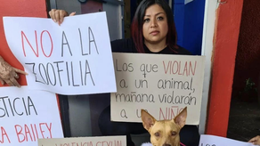 Defensores de los animales piden justicia
