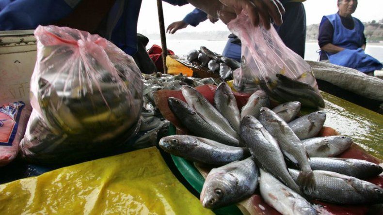 Ministro dice que economía peruana crecerá en torno a 4 %, a pesar de El Niño