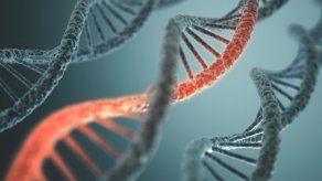 El 56 % de población porta genes mutados que causan enfermedades hereditarias
