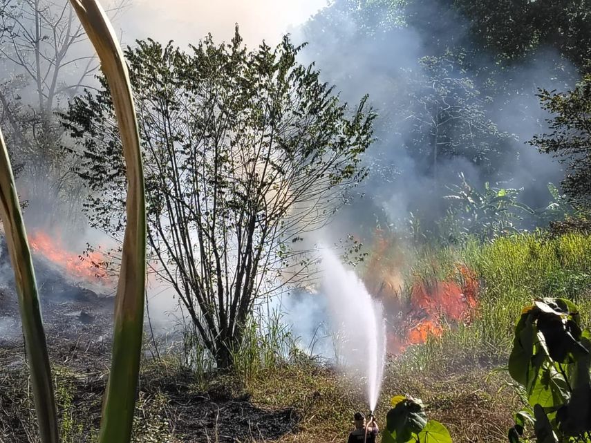 Incendio en Veraguas consume tres hectáreas