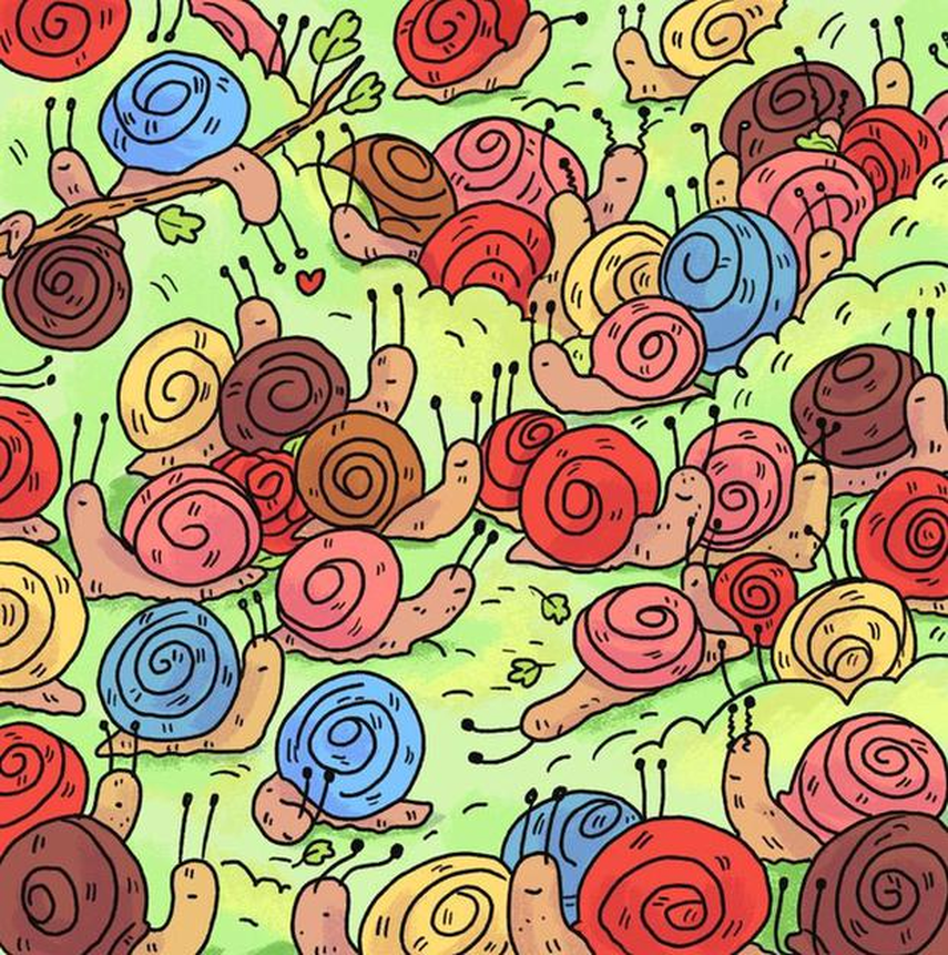 Resuelve este acertijo visual encontrando la rosa escondida entre los caracoles coloridos. Resuelve este acertijo visual encontrando la rosa escondida entre los caracoles coloridos.