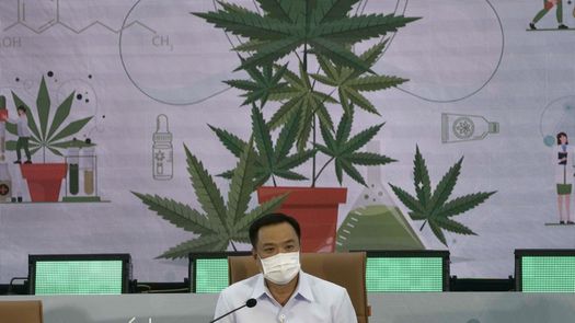 Anutin Charnvirakul, ministro de Salud de Tailandia.&nbsp;