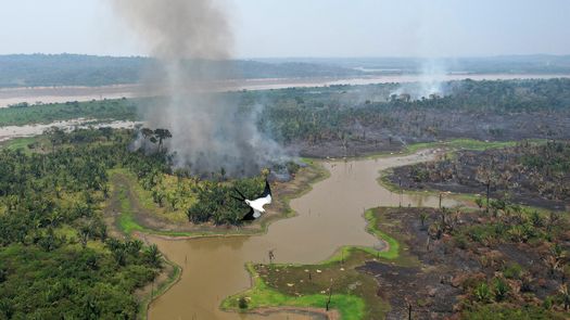 Según los expertos, estos incendios son causados principalmente por agricultores que limpian ilegalmente la tierra quemando la vegetación.