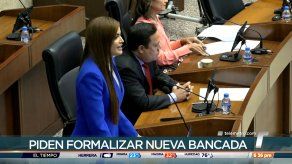 Diputados de la facción de Roux piden se formalice su bancada