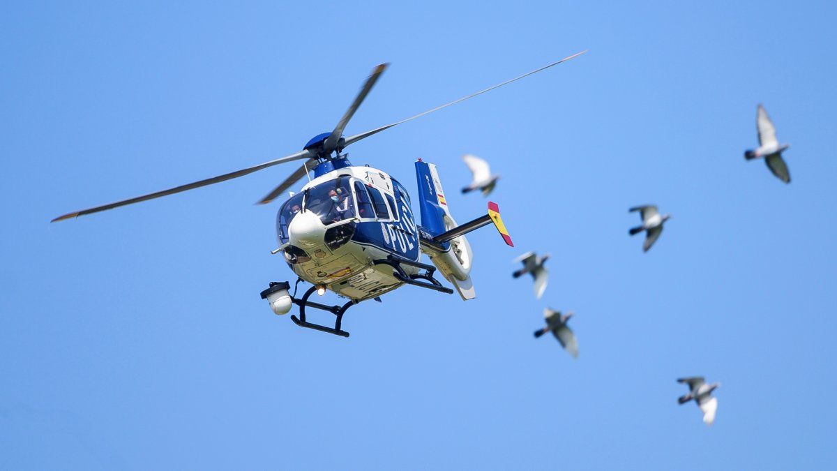 Encuentran en Florida aeronave desaparecida Encuentran en Florida aeronave desaparecida