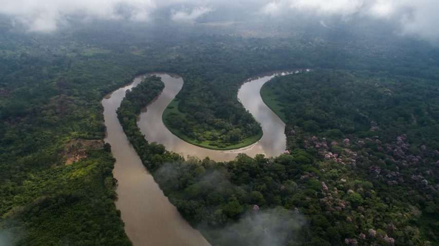 Por: Defensoría del Pueblo