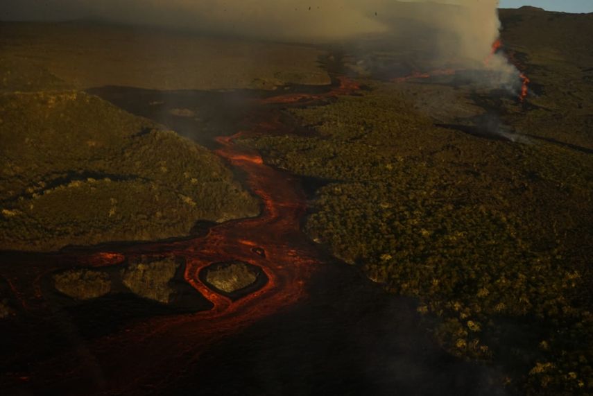Si bien en las cercanías del volcán Wolf no existen poblaciones sí residen especies endémicas como tortugas e iguanas.
