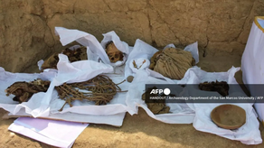Momia de adolescente de unos 800 años es encontrada en Perú
