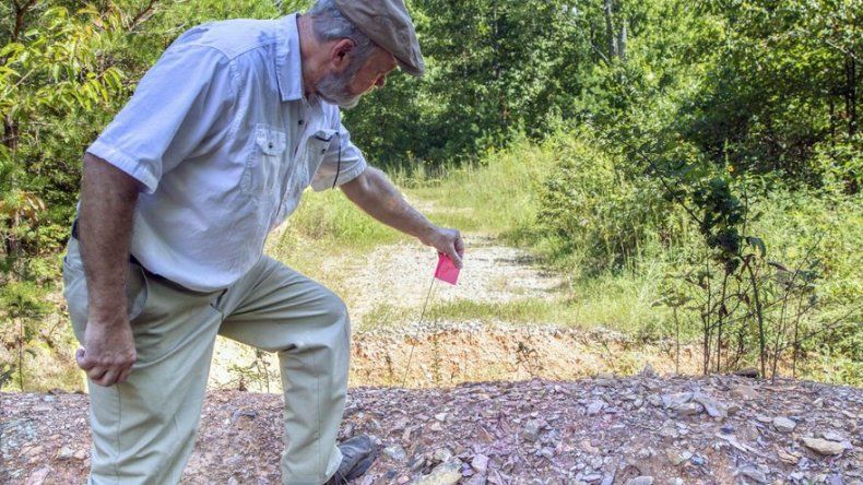 Servicio Forestal de EEUU admite que dañó camino indígena