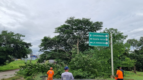 MiAmbiente MiAmbiente