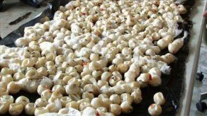 ARAP decomisa más de 600 huevos de tortuga en Aguadulce